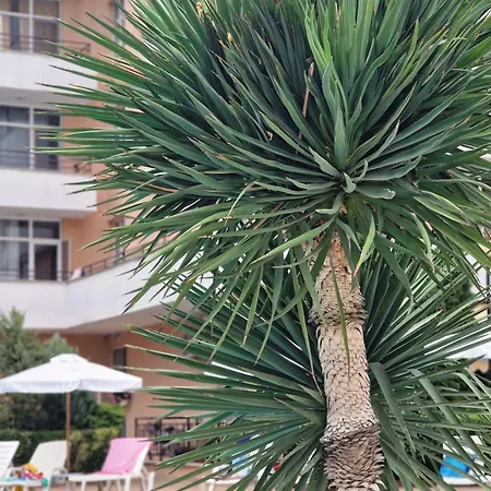 Grand Kamelia Апартамент *