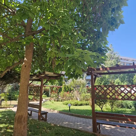 Grand Kamelia * סאני ביץ'